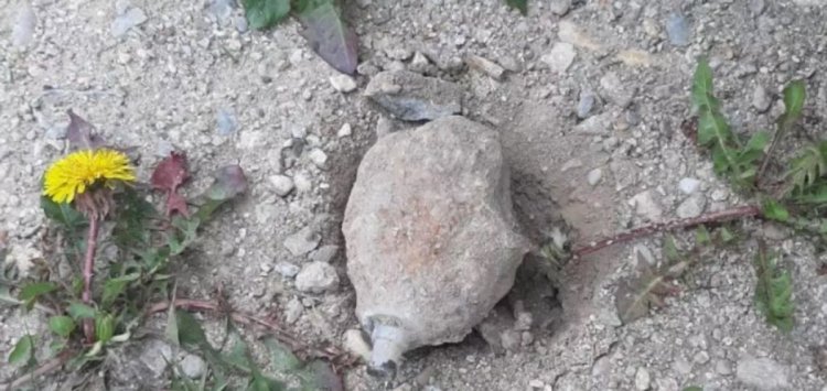 Grenadă neexplodată, găsită în curtea unui localnic