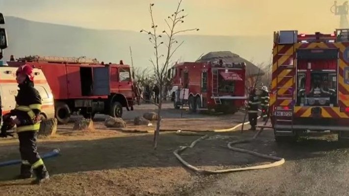 Primele concluzii privind cauza decesului celor opt persoane la Ferma Dacilor