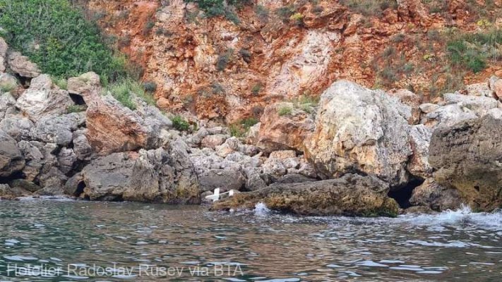  O dronă a fost găsită pe stânci lângă un sat de coastă din Bulgaria, locul a fost izolat