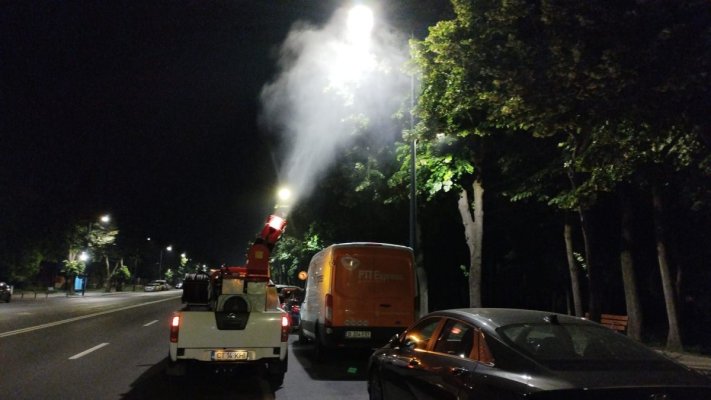 Acțiunile de dezinsecție continuă în municipiul Constanța și stațiunea Mamaia