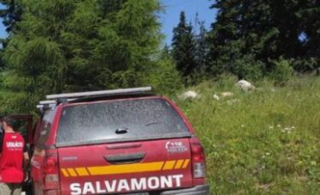 Turistă britanică dispărută, după  o ceartă cu soțul, a fost găsită dormind lângă un șopron