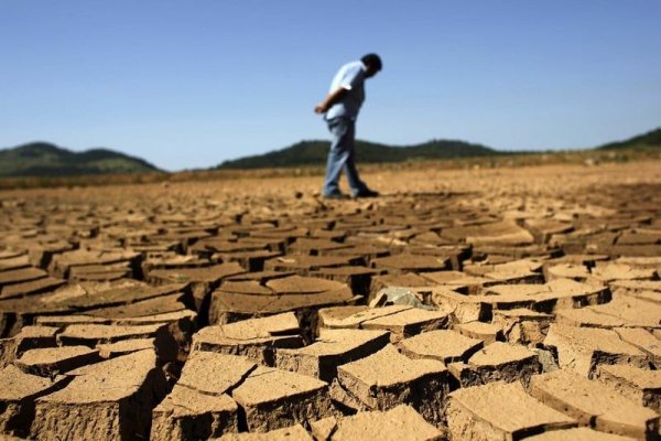 Criză alimentară fără precedent. Seceta ne lasă fără mâncare