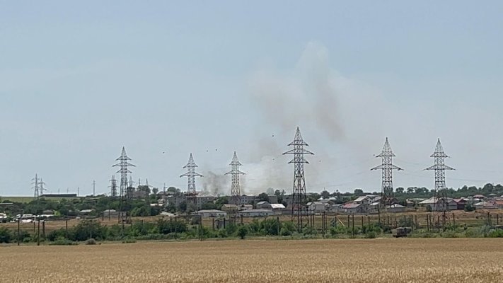 Incendiu de vegetație uscată, la Medgidia. Video