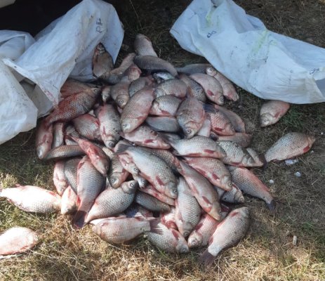 Dosar penal făcut unui bărbat pentru braconaj piscicol