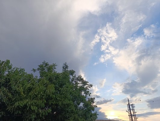 Cod portocaliu de ploi torențiale și vijelii, în județul Constanța