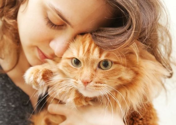Ce afecțiuni pot fi vindecate cu ajutorul animalelor și care sunt beneficiile