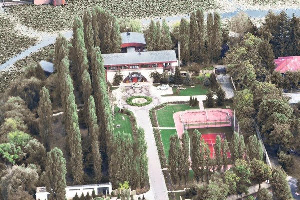 Vila lui Dinu Patriciu a fost spartă de către hoți
