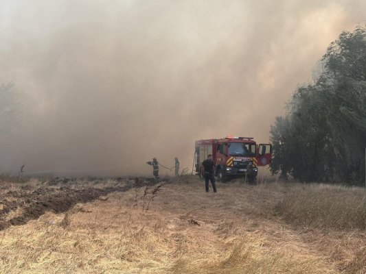 Pompierii, în alertă! Un nou incendiu de vegetație a izbucnit la Poarta Albă 