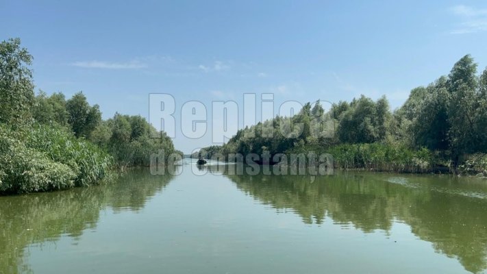 Delta Dunării, un colț de paradis care te face să te simți bine indiferent de stare. Video