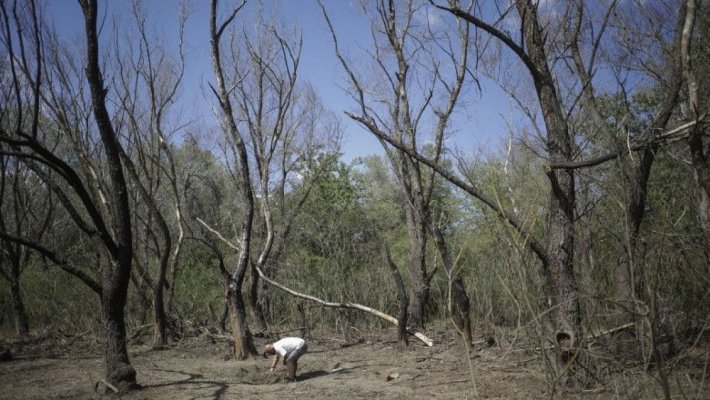 Al doilea mesaj RO-Alert în 24 de ore pentru locuitorii din Tulcea
