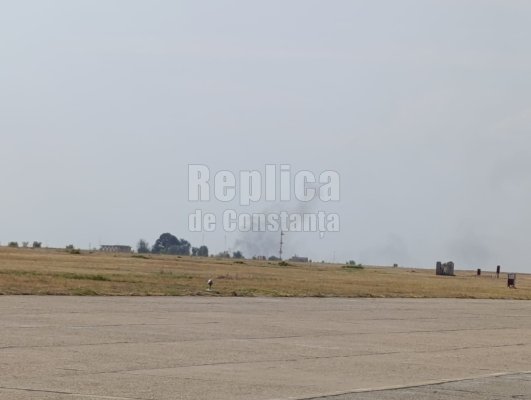 Incendiu de vegetație uscată, la Mihail Kogălniceanu. Video