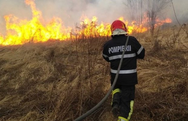 Incendiu de vegetație în zona Palas provocat în urma unui scurtcircuit la un transformator