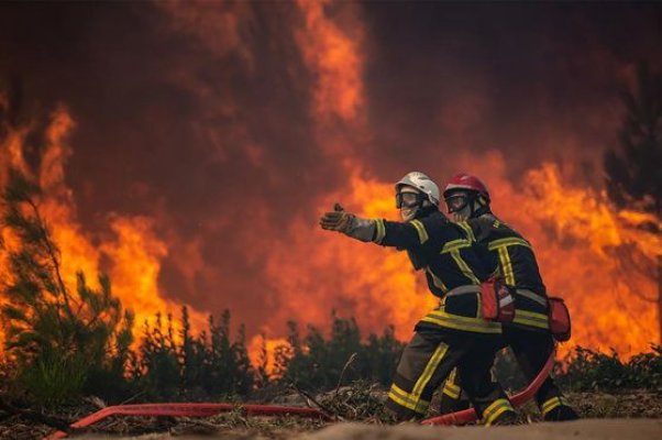Val de incendii devastatoare izbucnite în mai multe zone din țără