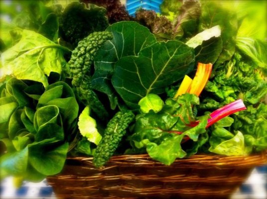 6 alimente care potolesc setea mai bine decât apa