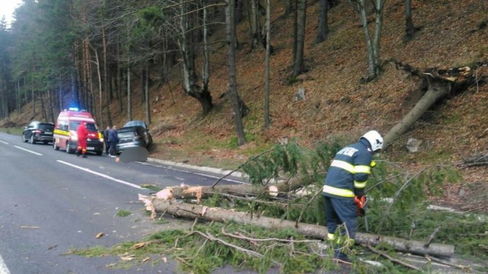 Un bărbat a rămas blocat în mașină după ce a lovit un copac