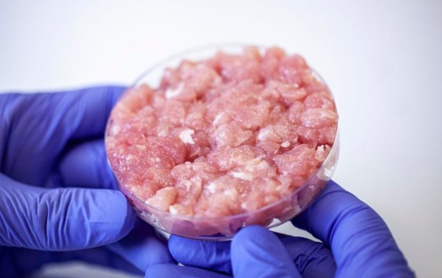 Primul tip de carne artificială aprobat în Europa va fi comercializat în Marea Britanie