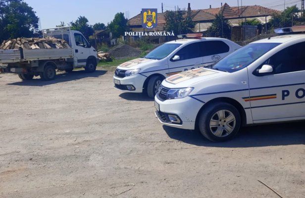 Sancționat contravențional pentru transport ilegal de lemne