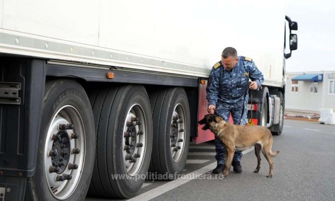 Rezultatele înregistrate la frontieră în ultimele 24 de ore