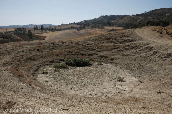 Specula cu apă a luat amploare în Sicilia, pe măsură ce seceta s-a intensificat