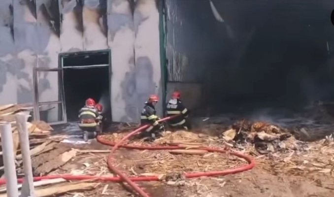 Incendiu puternic la o fabrică de prelucrare a furnirului! Administratorul găsit carbonizat. Video 