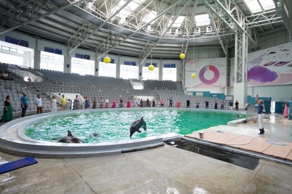 Malta vrea să doneze cinci delfini Delfinariului din Constanţa