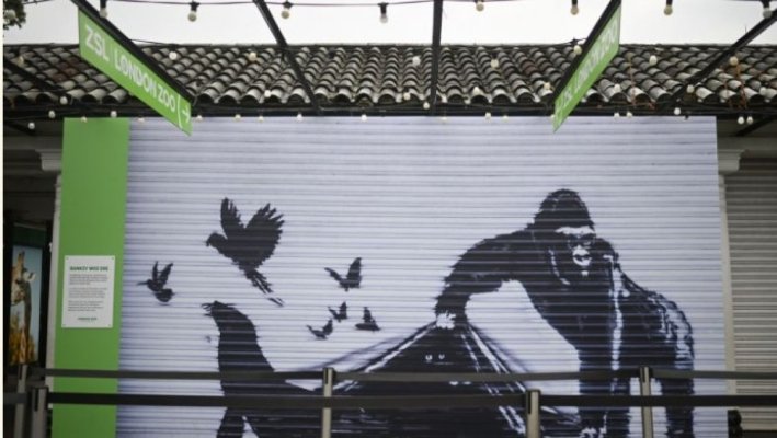Grădina zoologică din Londra a înlăturat lucrarea lui Banksy pentru „siguranță”