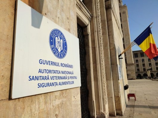 Acțiunile Autorității Naționale Sanitare Veterinare pentru menținerea exporturilor de ovine și caprine