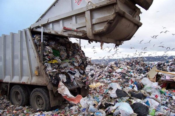 Trupul neînsuflețit al unui bebeluș a fost găsit la o groapă de gunoi