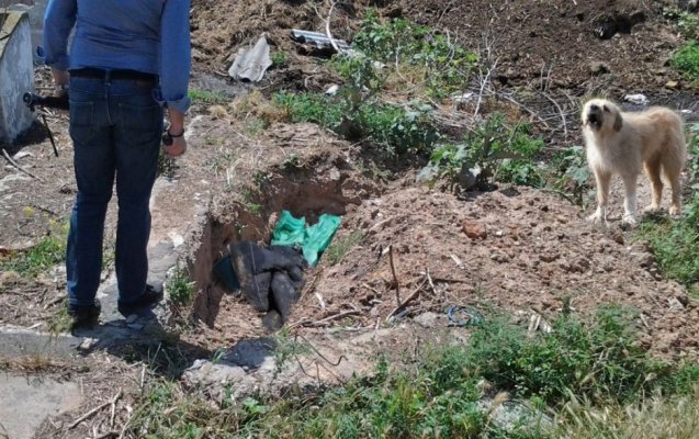 Șocant! O mamă și-a omorât copiii, apoi i-a îngropat în curtea casei 