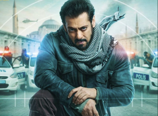 Actorul Salman Khan plănuiește să părăsească lumina reflectoarelor și vrea să dea lovitura în alt domeniu