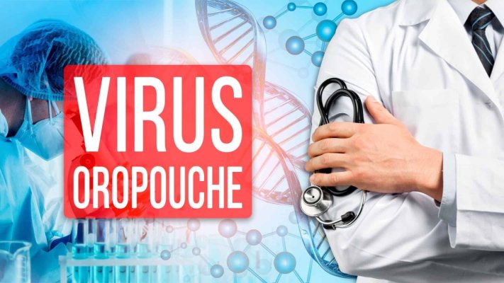 Alertă epidemiologică: Un virus transmis de musculițe și țânțari face ravagii