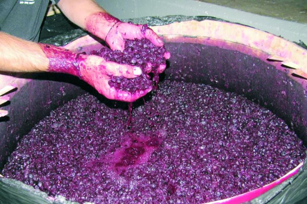 O femeie a murit intoxicată cu o substanță provenită de la mustul fermentat 