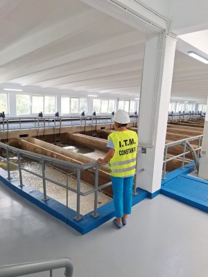 ITM: Campania Naţională pentru verificarea modului de respectare a prevederilor legale