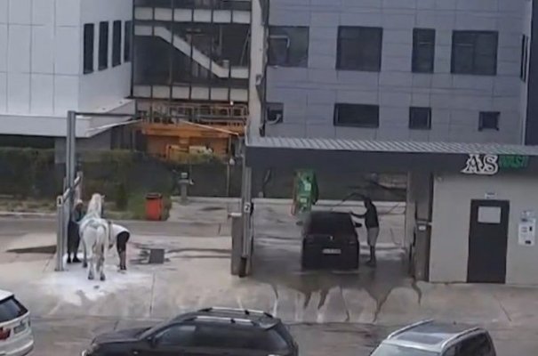 Un bărbat s-a ales cu dosar penal, după ce și-a spălat calul într-o spălătorie auto