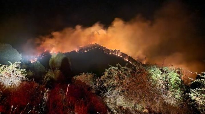 Aproape 60 ha de teren au fost afectate de incendiu, în Vinţu de Jos