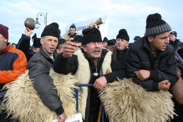 Ciobanii protestează împotriva uciderii oilor din cauza pestei