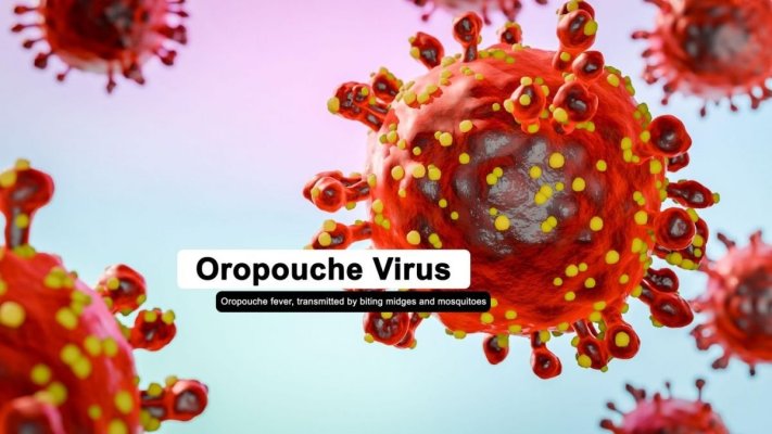 Misteriosul „virus al leneșului“ este fără tratament și se răspândește puternic