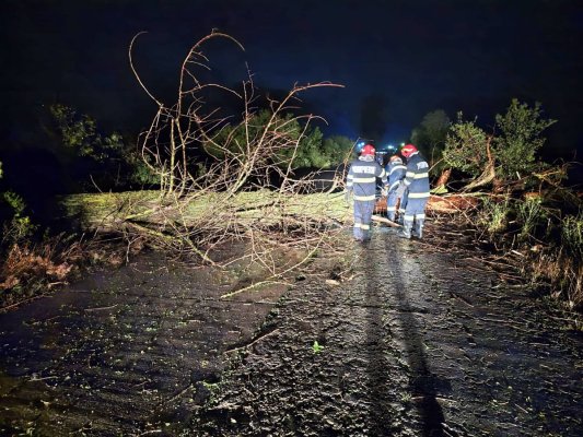 Pompierii au intervenit pentru degajarea unui copac doborât de vânt, între Costinești și 23 August