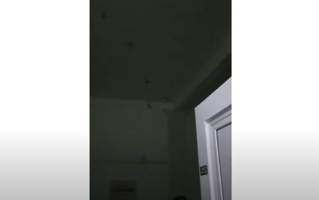 Un spital din Iași a fost luat cu asalt de lilieci. Video