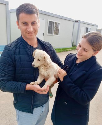 Blanca, cățelușa de 7 luni, și-a găsit o nouă familie iubitoare