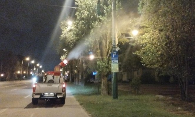 Se aplică tratamente fitosanitare în zonele verzi de pe raza municipiului Constanța și stațiunea Mamaia 