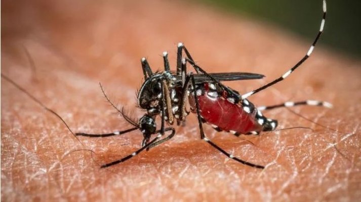 Alertă sanitară în România! Apar tot mai mulți pacienți infectați cu malarie