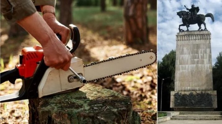 Un muncitor a fost strivit de un copac în timpul unor lucrări