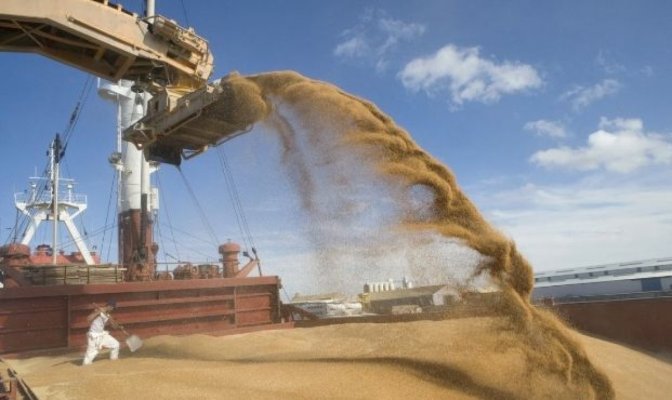 Lovitură grea pentru fermierii români. Porumbul trimis la export, refuzat din cauza contaminării