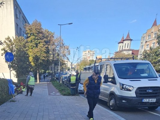 Angajații de la spații verzi vorbesc cu șefii la telefon, în timpul programului! 