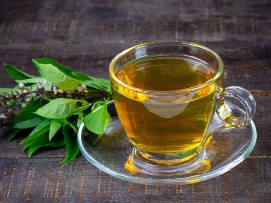 Licoarea magică a dacilor: Vindecă peste 40 de afecțiuni și întărește imunitatea
