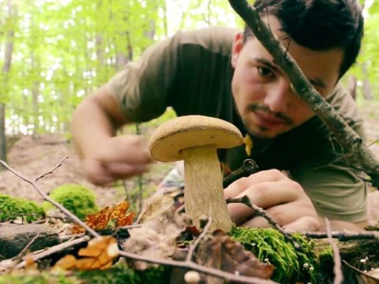Unsprezece copii și adulți, duși de urgență la spital, după ce au mâncat „ciuperci toxice“