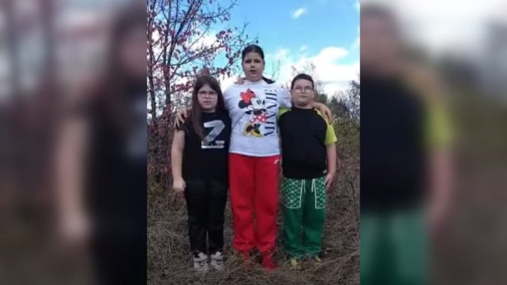Poliția de Frontieră face cercetări pentru a stabili cum au trecut granița copiii milionarului Adrian Marțian