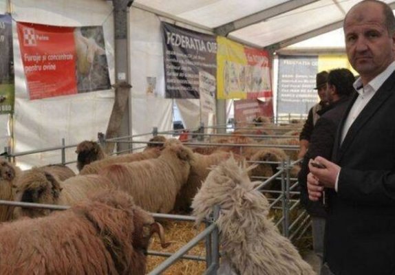 Șocant! Cel mai mare crescător de oi din România, reținut de Parchetul European