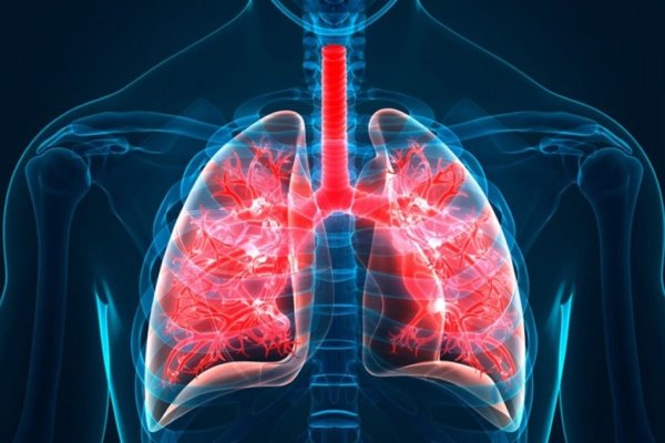 Conferință internațională la Cluj despre fibroza chistică: O afecțiune ce afectează 1 din 2500 de nou-născuți